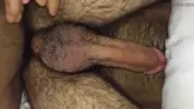 Brincando com cu e pau peludos