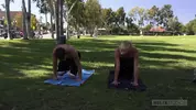 Yoga Thunder