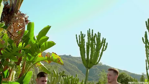 8 encontros falhados (Nico Coopa & Andrew Delta)