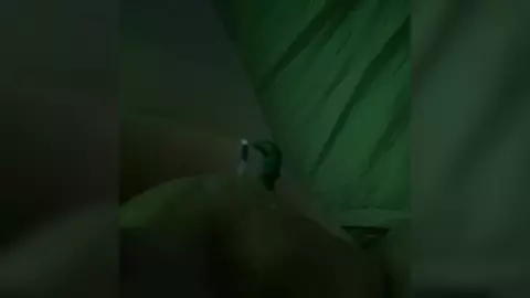 Me pajeo solo en mi cuarto con croma verde – ¿os gusta?