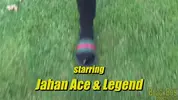 Alla ricerca di Legend – Jahan Ace & Legend