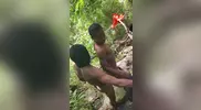 Sexo en la selva africana
