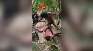 Sexo en la selva africana