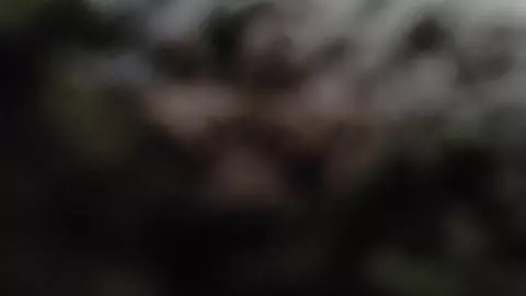 8. Zusammenarbeit mit unbekanntem Aktiven - 4