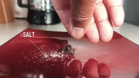 giantsolecrusher 3 – feticcio piedi gay