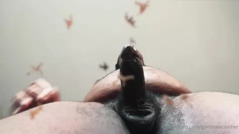 giantsolecrusher 4 – feticcio piedi gay