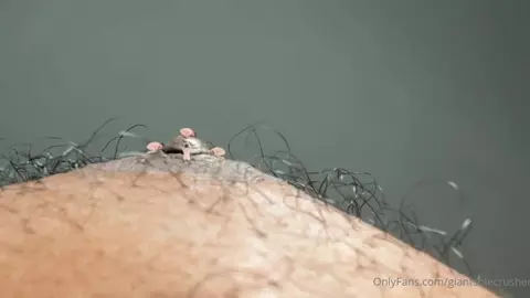 giantsolecrusher 4 – schwule Fußfetisch-Action