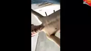 sex hot couple twink solo show camboy shower hot tube