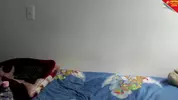 hot sexy twink webcam solo cam show tube