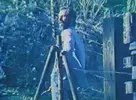 Jo Gage's El Paso Wrecking Corp