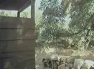 Jo Gage's El Paso Wrecking Corp