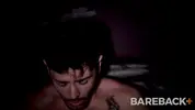 Stud Loads Vol.4 Chapter 3 – Breeding Wall
