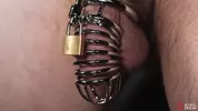You Ready to Play Boy? – Christian Wilde, Harrison Todd