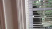 MEN : Before My Wife Gets Home (2014)