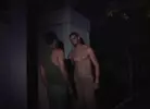 Fire Island Cruising 7
