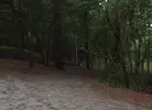 Fire Island Cruising 7