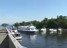 Fire Island Cruising 7