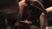 What's Happening Down There