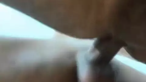 Geiler Twink-Cam-Show