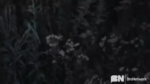 Wir Sind Nicht Allein – Benjamin Blue, Rocky Vallarta & Ryan Jacobs