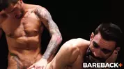 Stud Loads Vol 2 - Mare Asses - Canyon Cole, Jack Aries, Phoenix Leo, Ty Roderic
