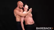 Stud Loads Vol 2 - Marking the Stallions