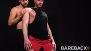 Stud Loads Vol 2 - Marking the Stallions