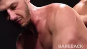 Stud Loads Vol 2 - Marking the Stallions