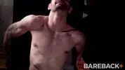 Stud Loads Vol 2 - Breeding Wall