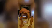 Asian couple