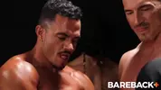 Stud loads Vol 1 - Marking The Stallions