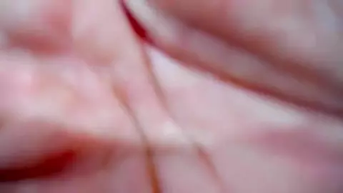 Grupo de amigos twinks latinos camboys em show pornô