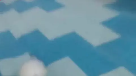 Couple de twinks camboys bien chauds en cam dans la chambre