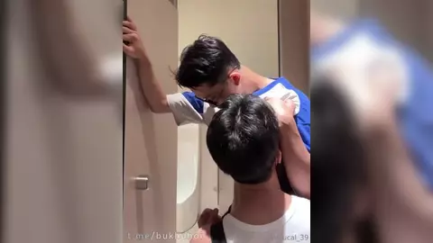 Ducal Toilet - drague aux pissotières 2