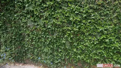 Loan Eliezer & Jakee Tittan – What Else Can I Do With Your Cock?