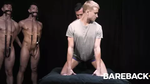 Stud Loads Vol 5 Chapter 1 Stable Master