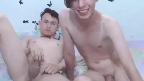 Couple de twinks en plein porno - HotXTwinks