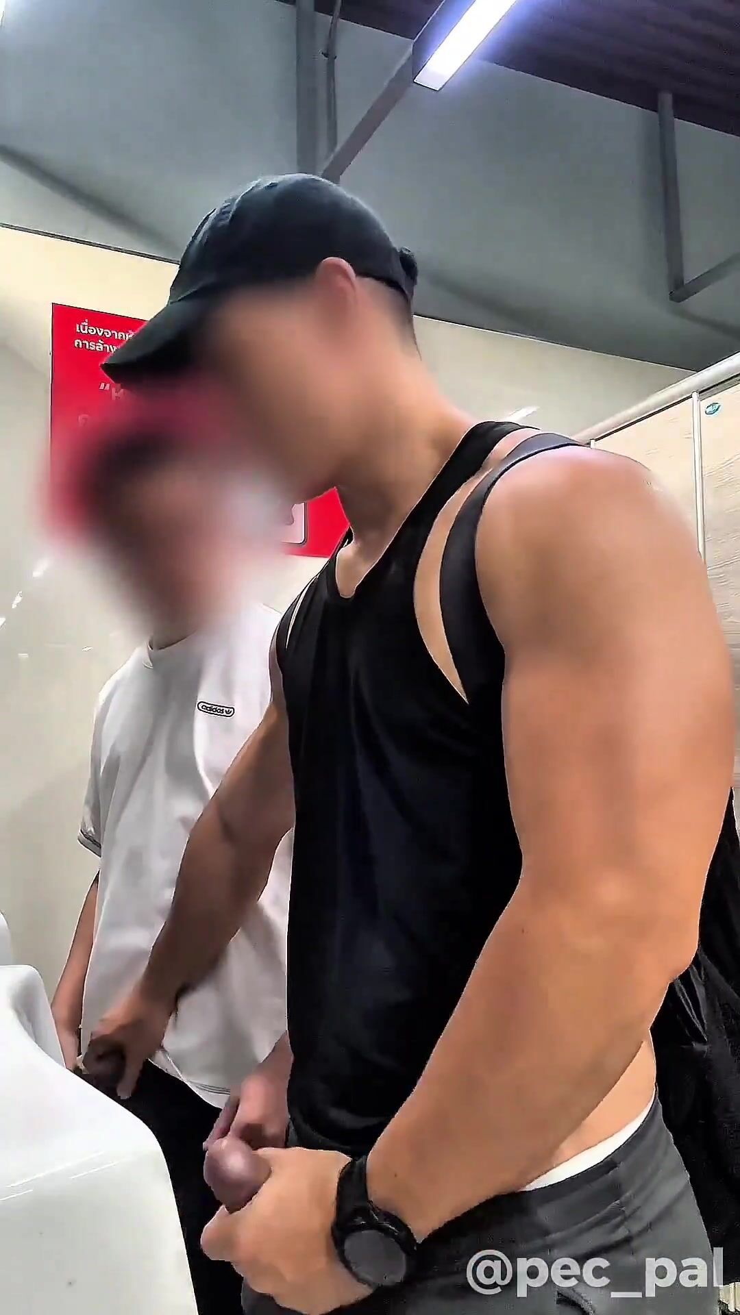 OnlyFans - Pec Pal, toilet cruising #2