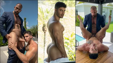 ~Vorsicht, weiße Schokolade, du wirst dahinschmelzen~