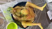 Flipfuck mit Slime und Gunge