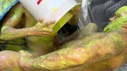 Flipfuck mit Slime und Gunge