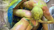 Flipfuck mit Slime und Gunge