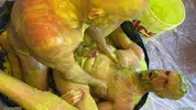 Flipfuck mit Slime und Gunge