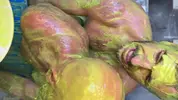 Flipfuck mit Slime und Gunge