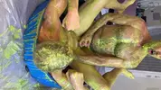 Flipfuck mit Slime und Gunge