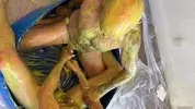 Flipfuck mit Slime und Gunge