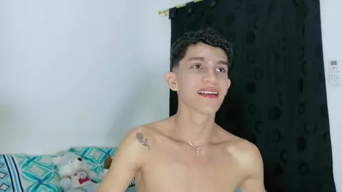 Casal de camboys Noah & Tyler em show de cam quente