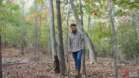 Das Abenteuer von Brody Fox: Teil sechs - Black Mountain