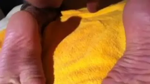 Wurst – salsicha grande no cu