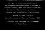 Black Sex & Leather - sesso duro in pelle